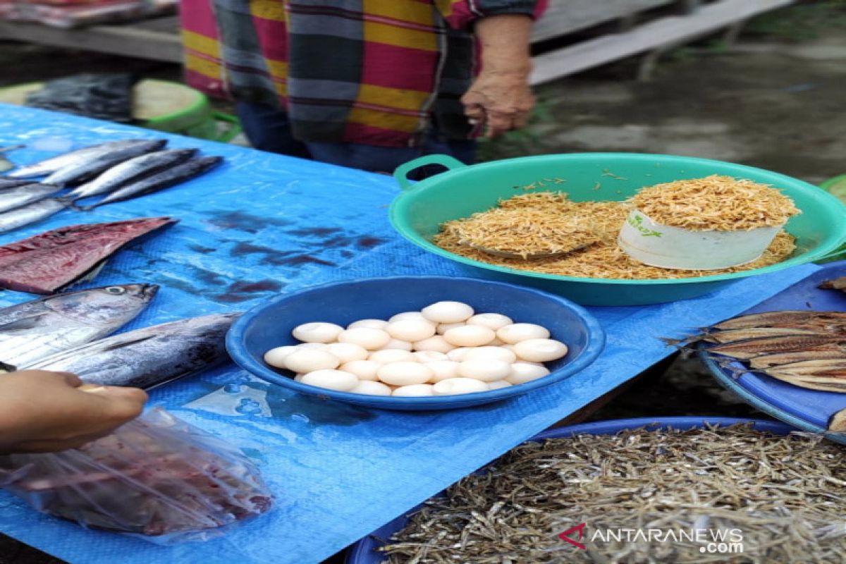 BKSDA akan cek penjualan telur penyu di Majene