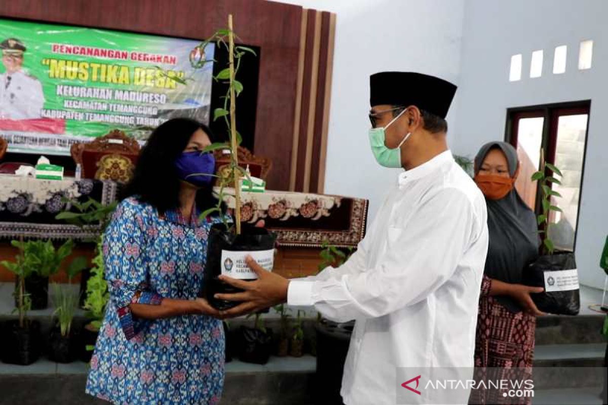 Vanili jadi salah satu unggulan "Mustika Desa" di Temanggung