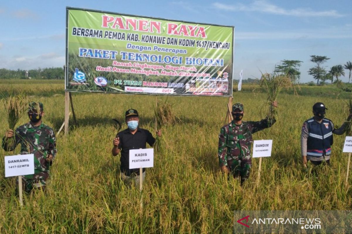 Hasil panen padi biotani binaan Kodim 1417 Kendari di Konawe meningkat