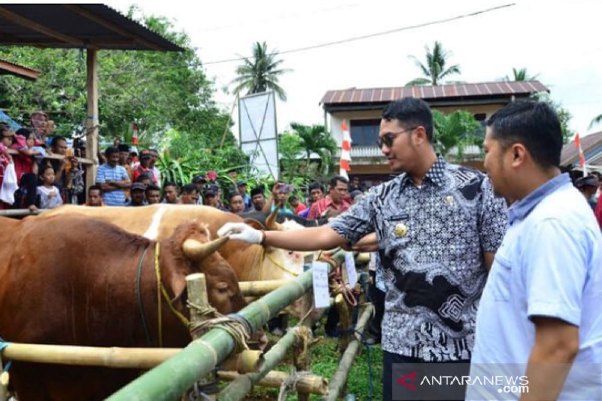 Pemkab Sinjai dorong peternak asuransikan ternaknya