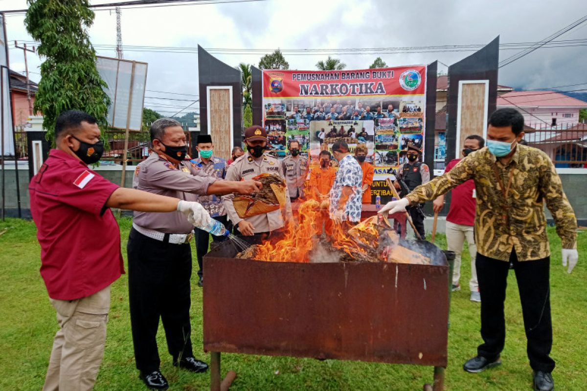 Barang bukti berupa 19 paket besar ganja  dibakar Polres Pasaman (Video)