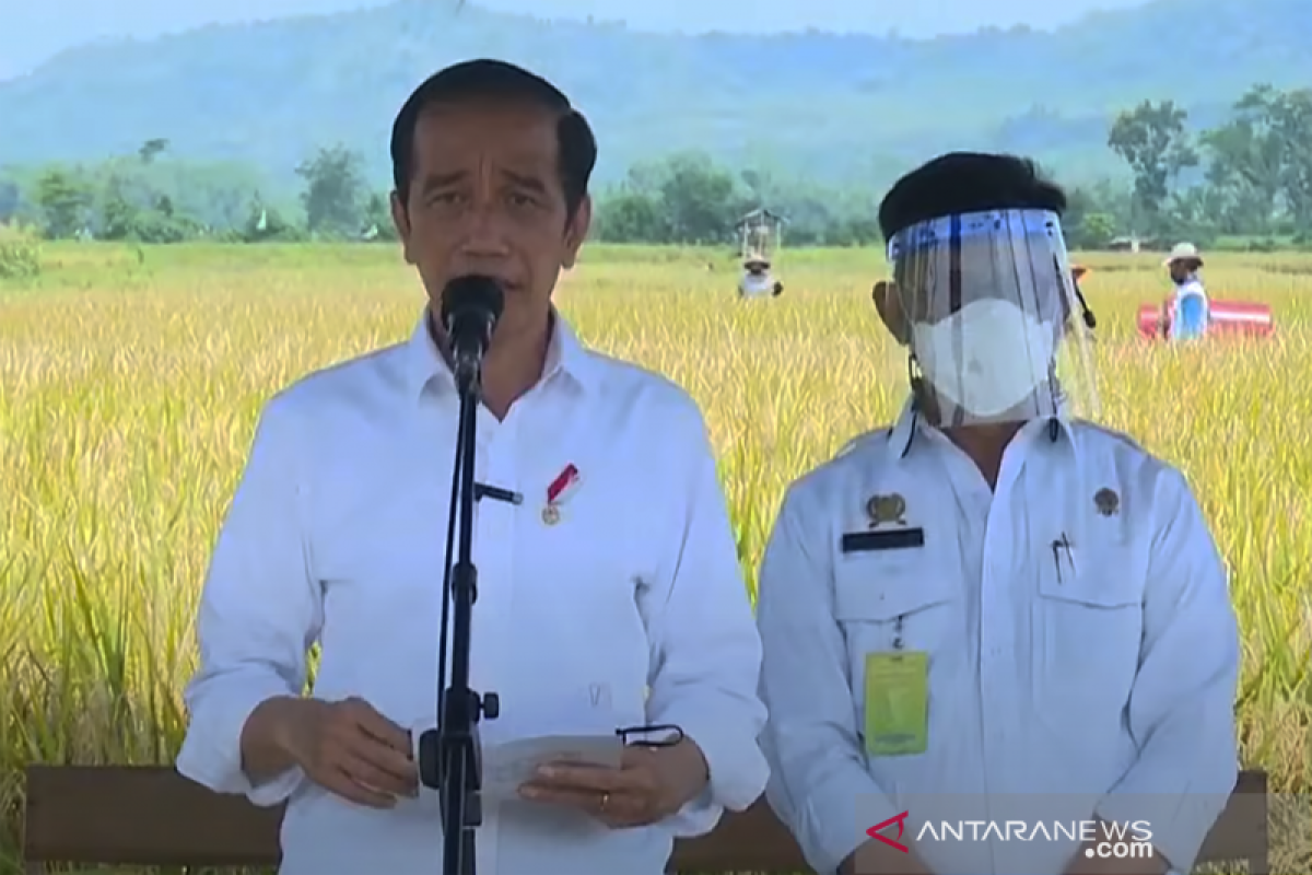 Presiden Joko Widodo pastikan produksi padi penuhi kebutuhan masyarakat