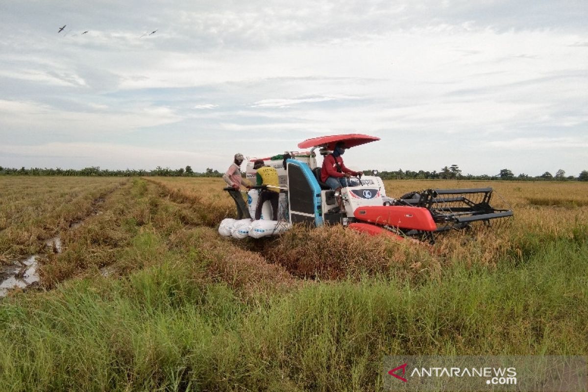 Nilai tukar petani di Kalteng alami kenaikan