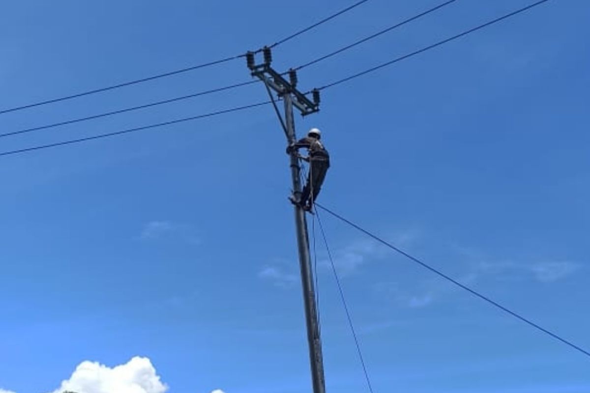 10 remote villages in East Nusa Tenggara get power supply