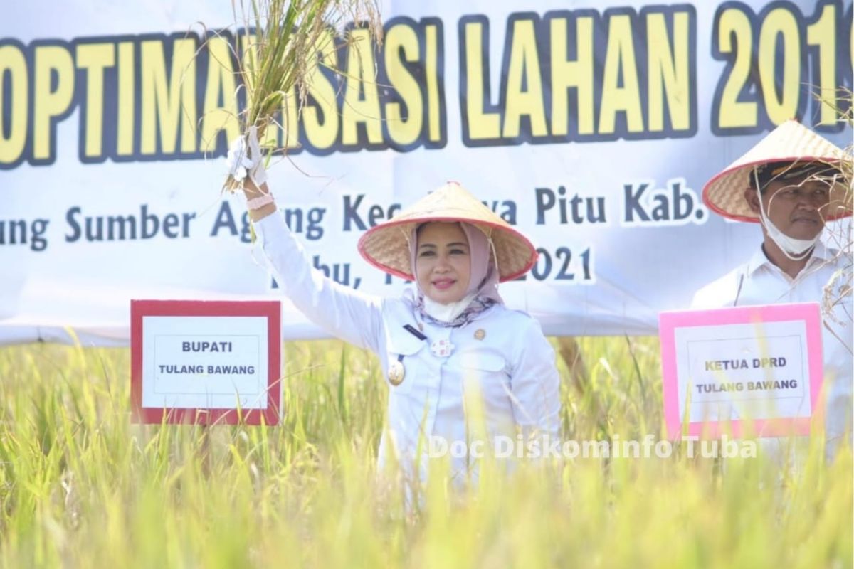 Bupati Tulang Bawang siap genjot sektor pertanian