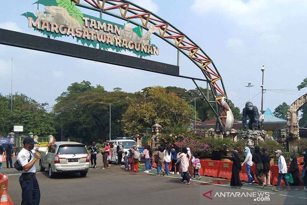 Setelah dibuka lagi, Taman Margasatwa Ragunan dikunjungi 24.335 wisatawan