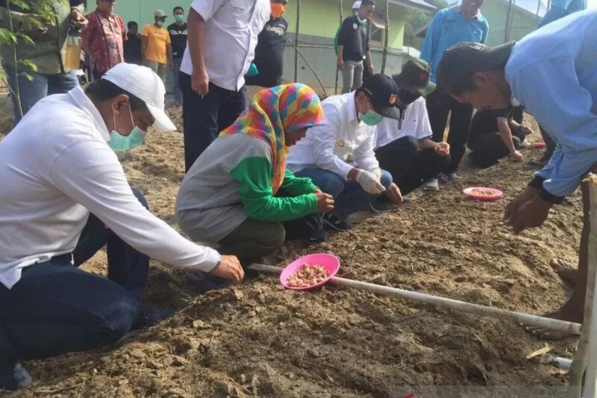 Pemkab Sigi  optimalkan program P2L untuk berdayakan ibu rumah tangga