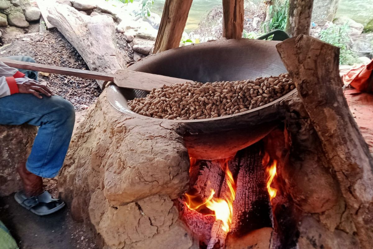 Dampak COVID-19, seorang pedagang kacang randang di Pasaman alami penurunan omzet Rp1,5 juta