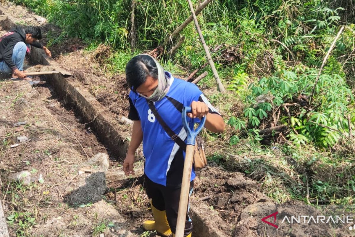 Terima keluhan warga, Dinas Perkim Pekanbaru akhirnya pelihara jalan dan drainase