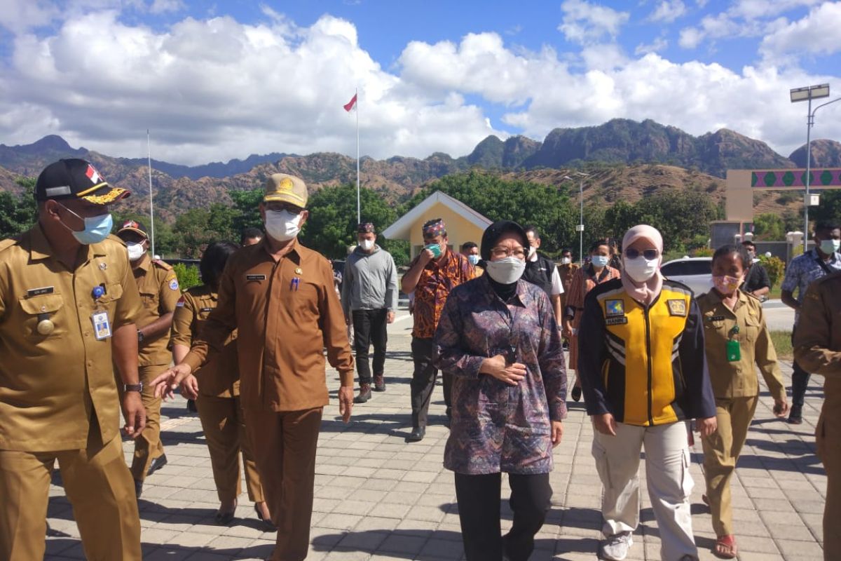 Mensos sebut video viral Bupati Alor bukan PKH tapi bantuan bencana