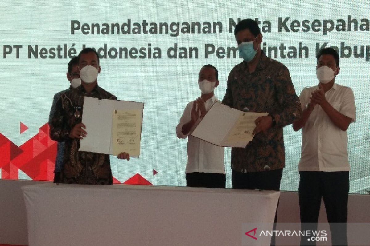 Kehadiran Nestle di Batang bawa dampak positif peternak sapi perah