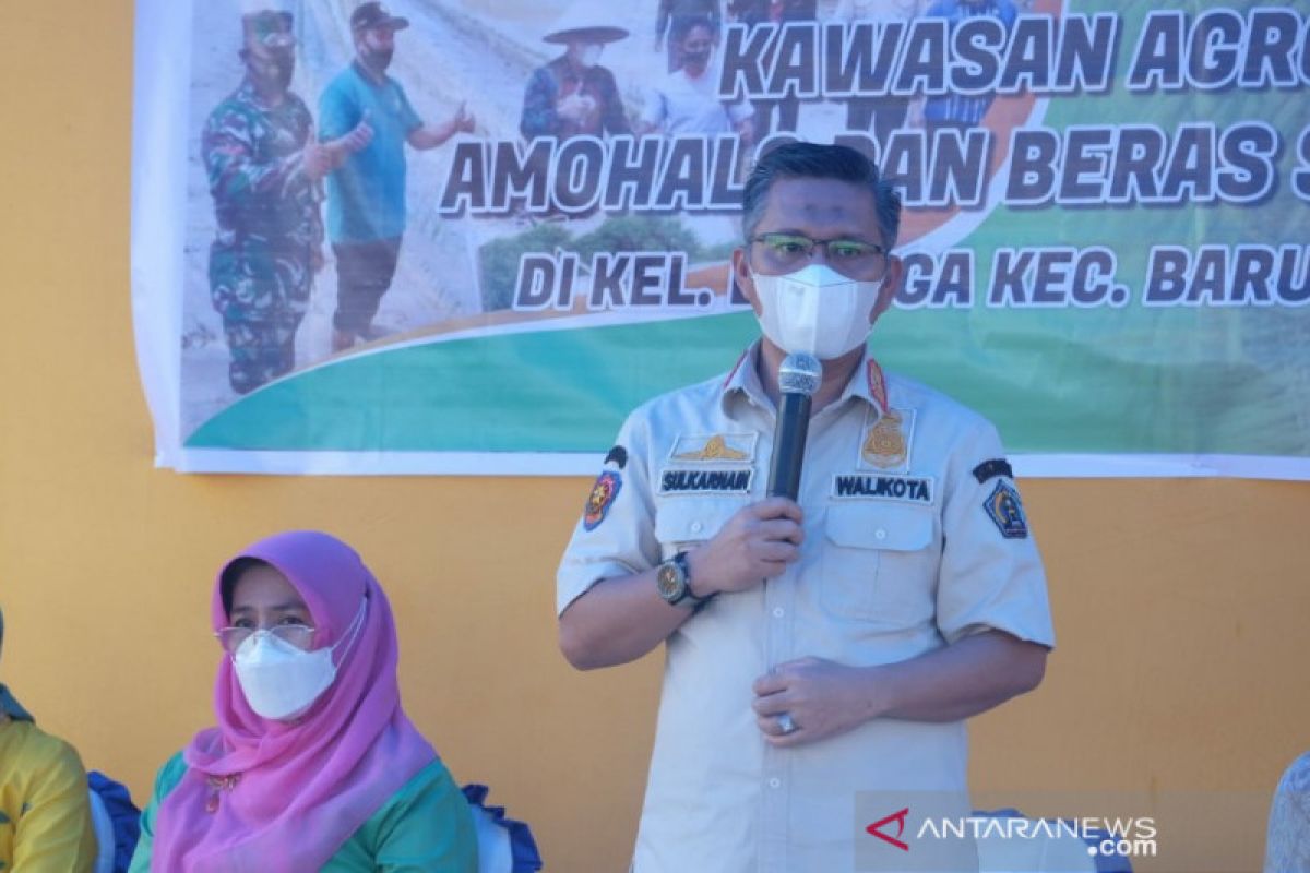 Pemkot Kendari menjadikan beras Owaho sebagai komoditas unggulan