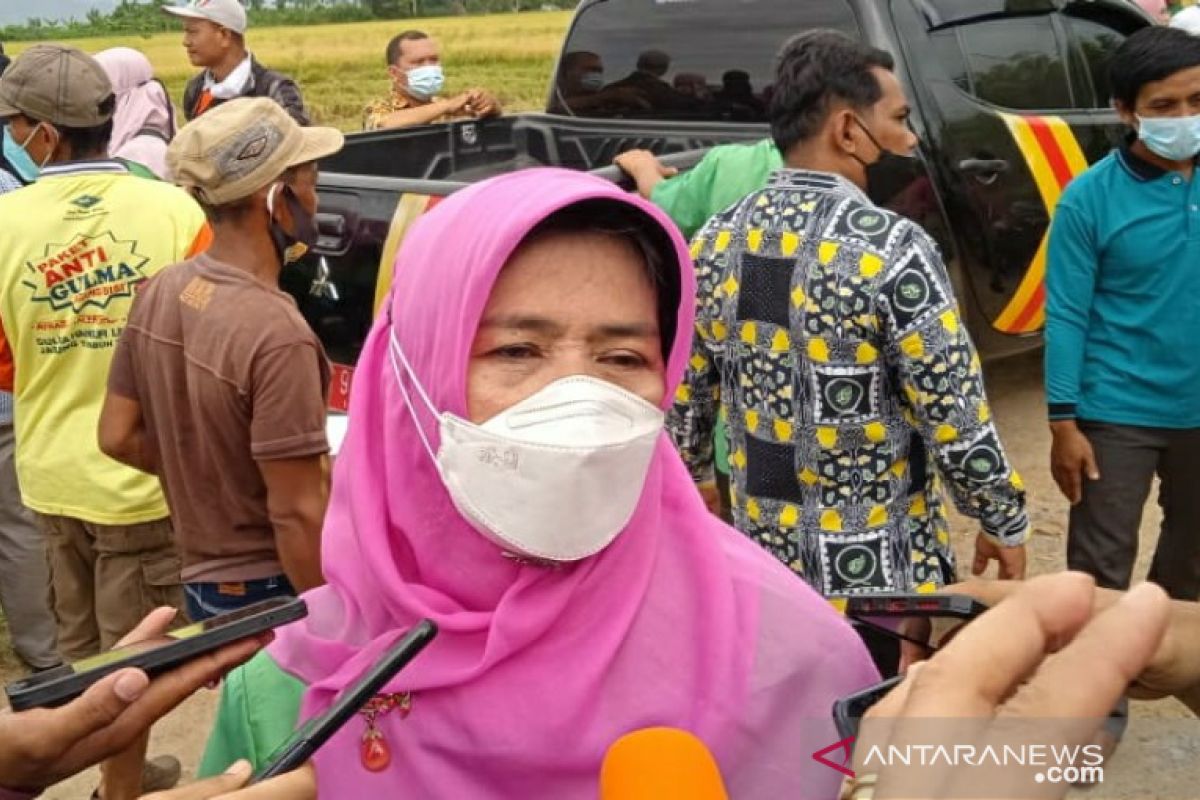 Dinas Pertanian Kota Kendari targetkan petani panen tiga kali setahun