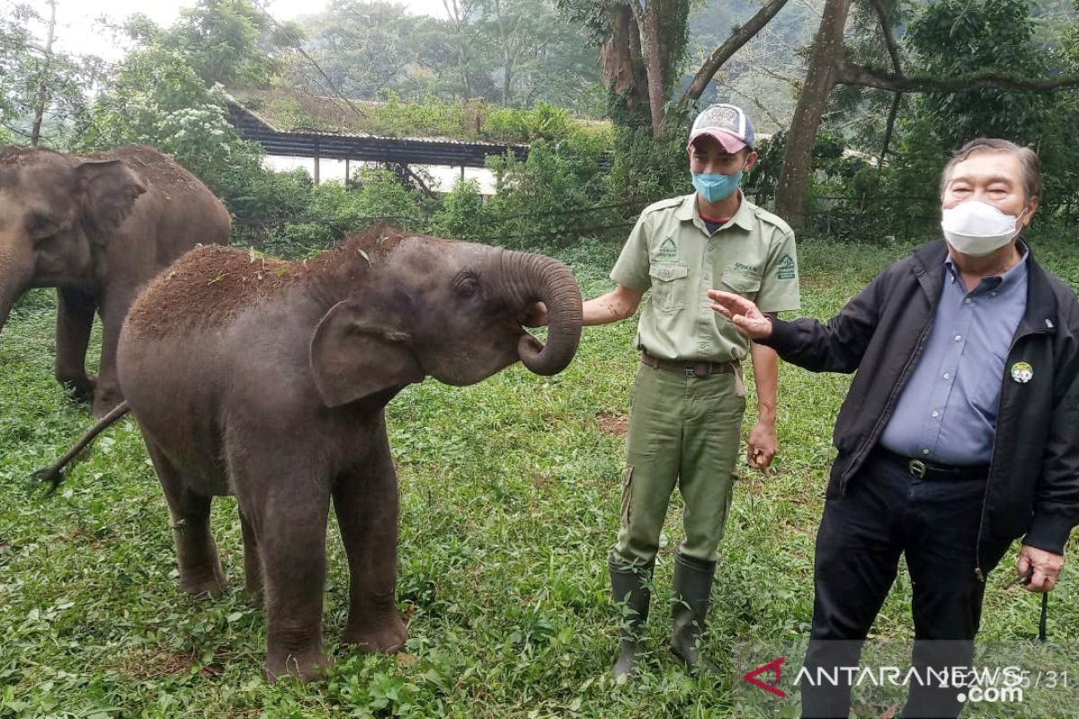 275 satwa lahir di Taman Safari Bogor meski di tengah pandemi