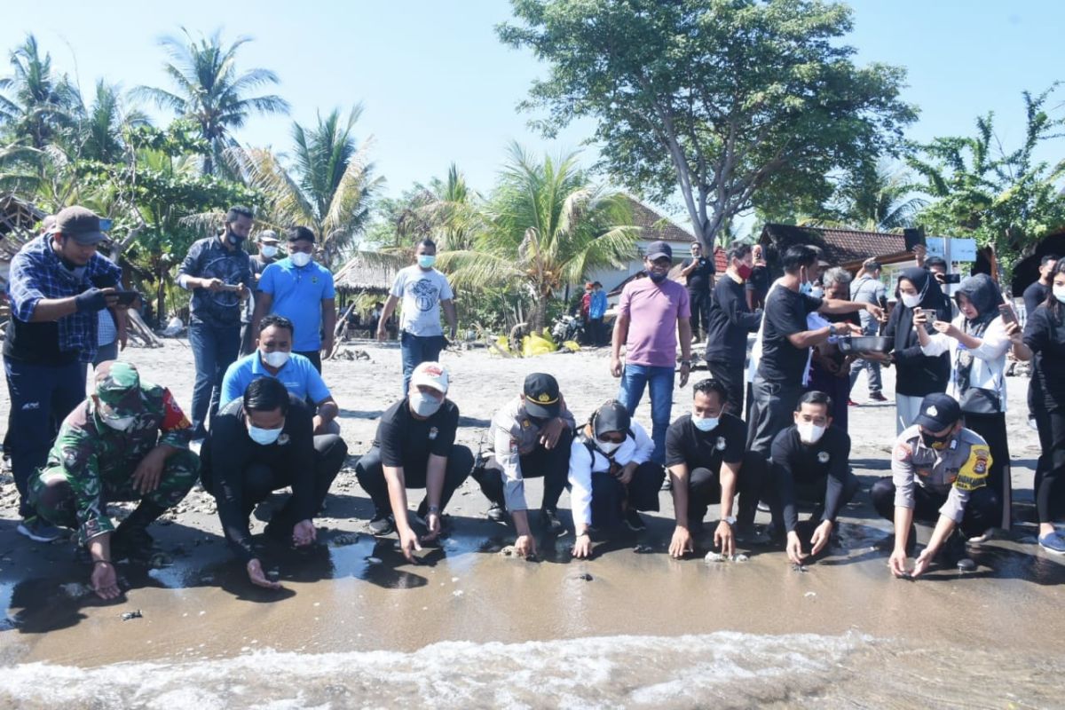 Wabup Lombok Utara lepas tukik peringati Hari Lingkungan Hidup se-Dunia