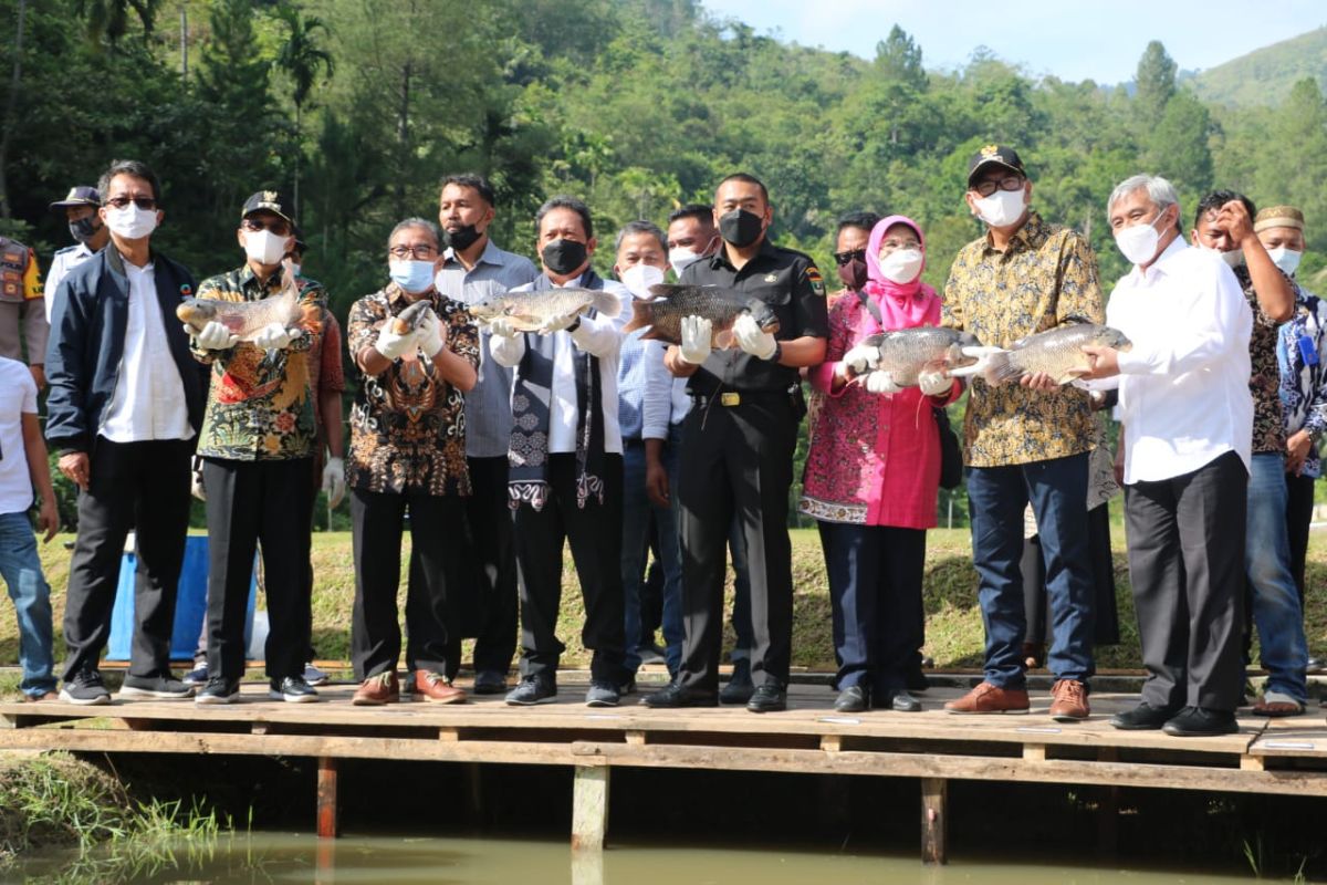 Harga jual tinggi, Menteri Kelautan minta Limapuluh Kota budidaya ikan semah, dewa dan 'gariang'