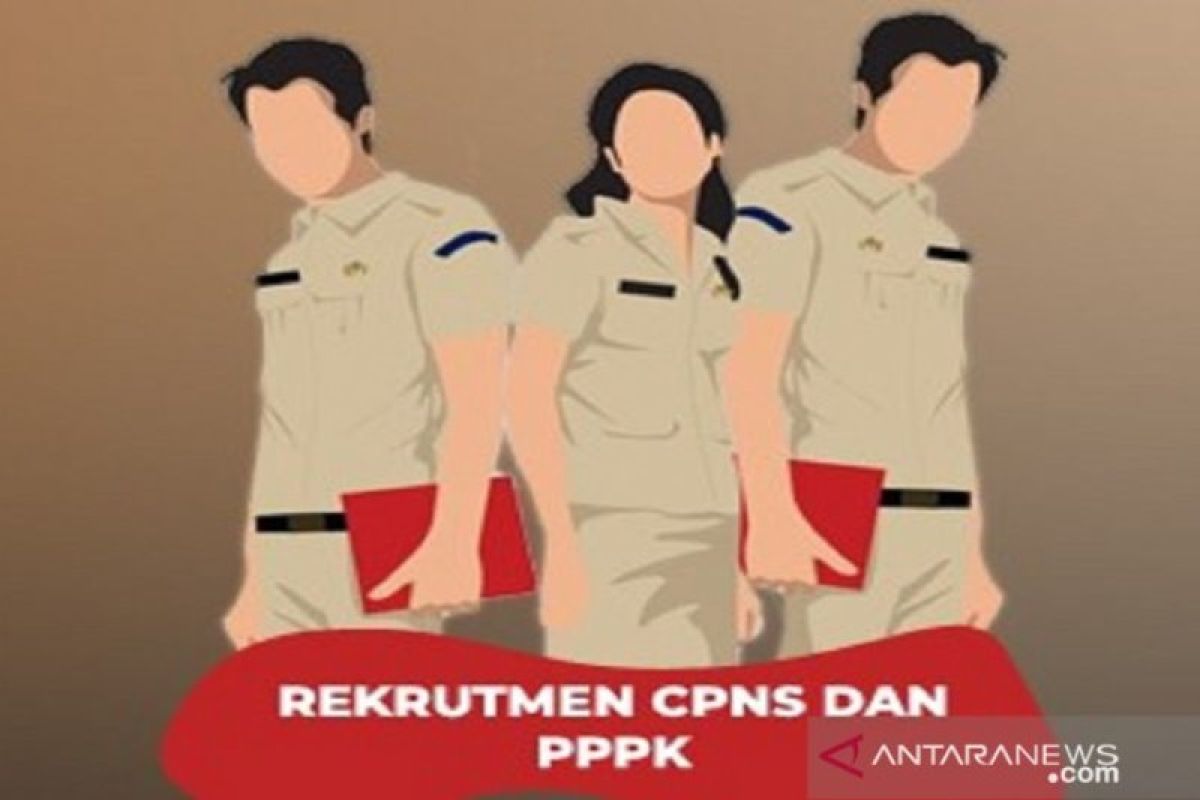 Sebanyak 570 instansi pemerintah buka rekrutmen CASN 2021