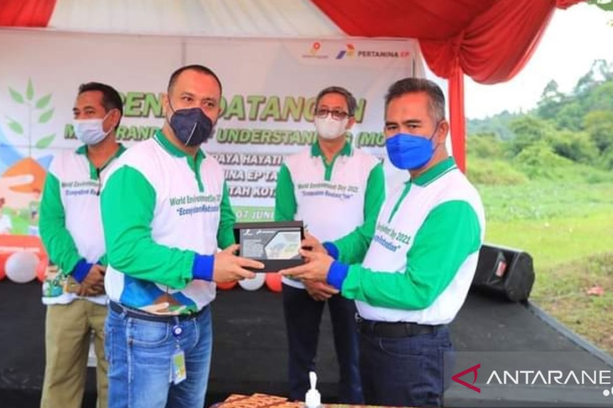 Pertamina EP Lestarikan Pohon Endemik