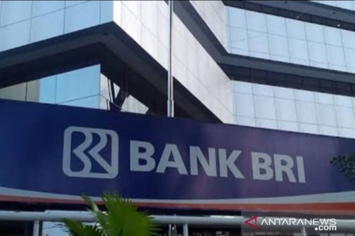 BRI Insurance gandeng agen BRILink se-Indonesia  lindungi UMKM