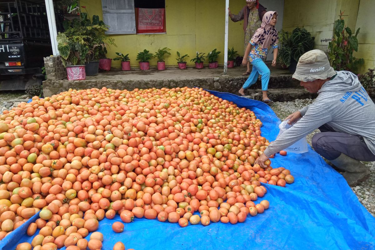 Dinas Pangan prioritaskan mutu produk pangan segar asal tumbuhan