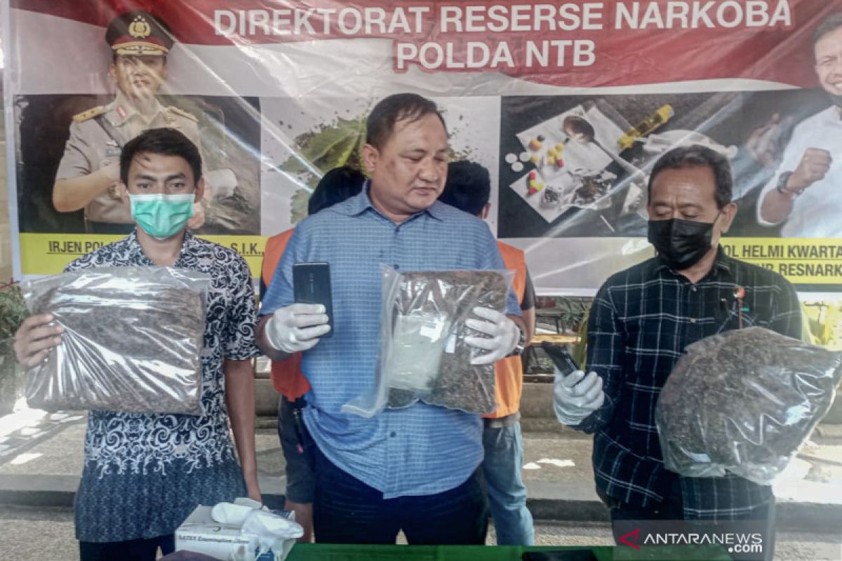 Polda NTB menangkap dua mahasiswa kuasai tiga kilogram ganja