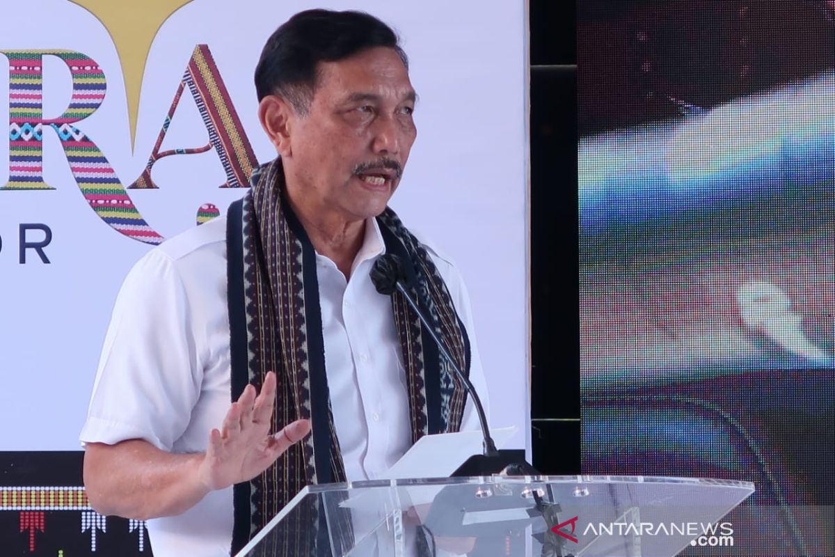 Luhut: Percepat pembangunan BTS menuju digitalisasi 30 juta UMKM