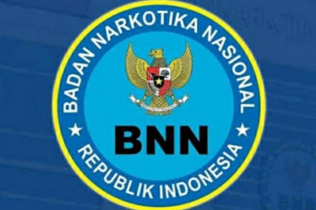 BNN latih 3.400 kader Pemuda anti Narkoba Kemenpora secara daring