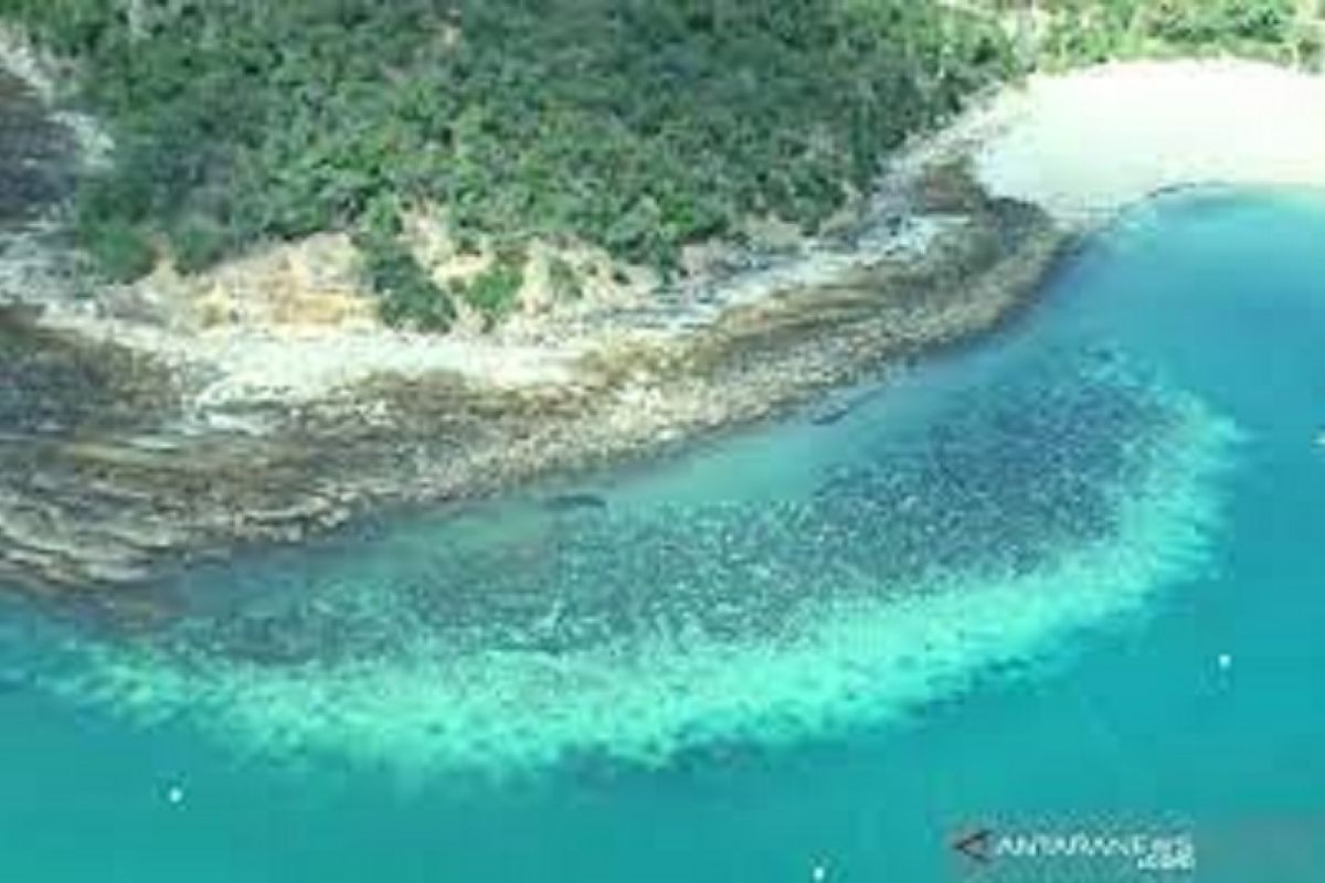 Australia keberatan Great Barrier Reef dinilai PBB "dalam bahay"