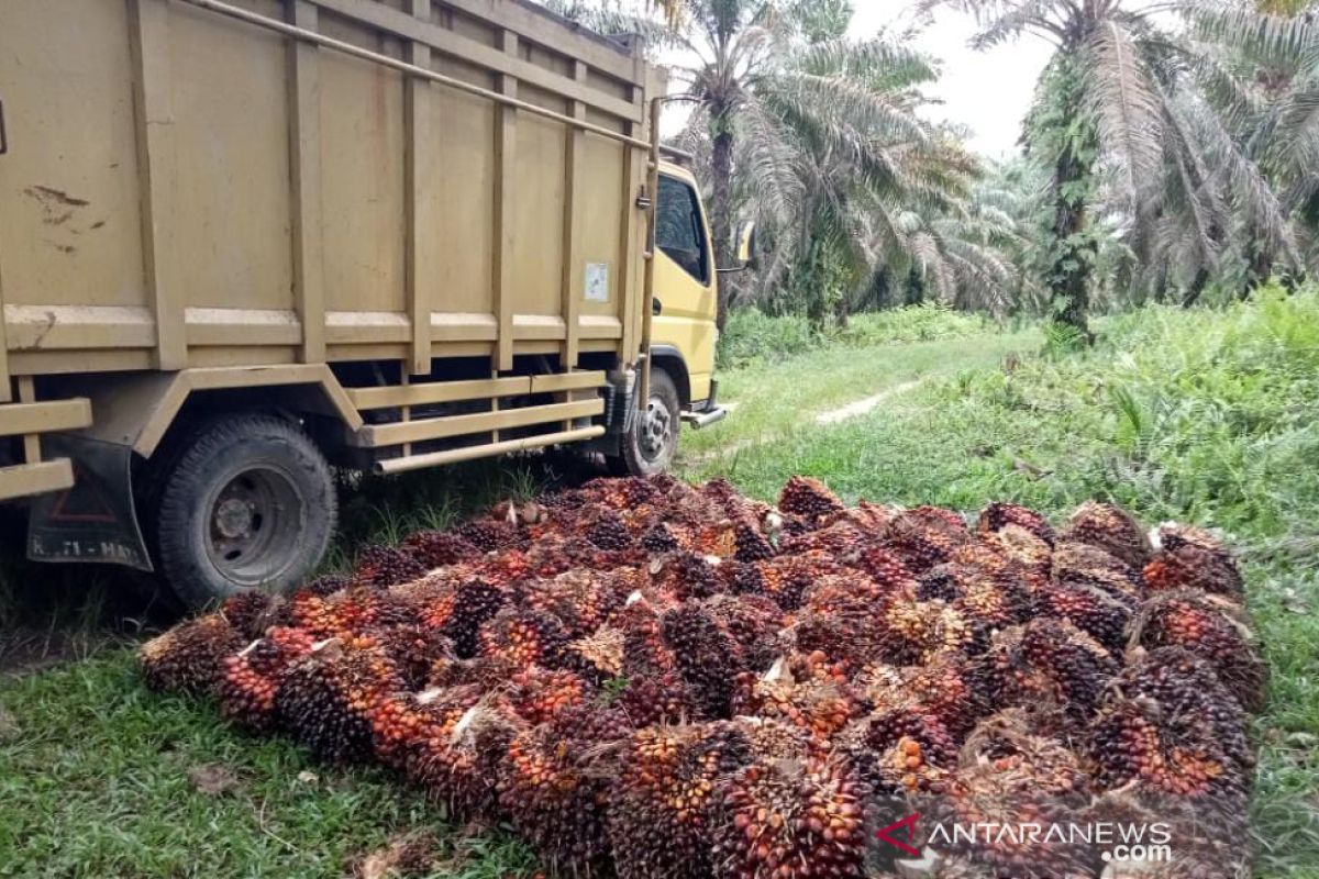 Diduga salah gunakan kewenangan, Kopsa-M laporkan Kades Pangkalan Baru