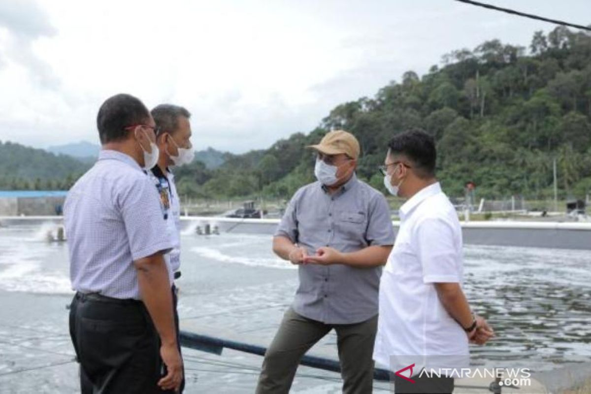 Pengusaha tambak udang Bangka Belitung diminta mencontoh IPAL Lampung