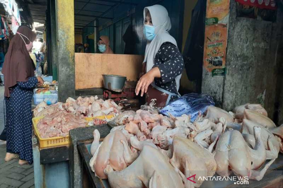 Harga daging ayam dan telur di Solo turun mendekati normal