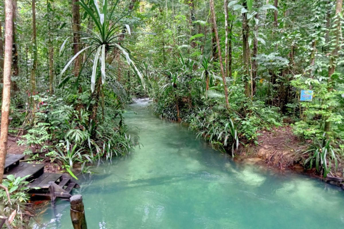 Wapres Ma;ruf Amin: Ayo berwisata ke Raja Ampat