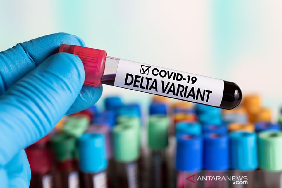 LIPI sebut lonjakan kasus COVID-19 di Indonesia didominasi varian delta