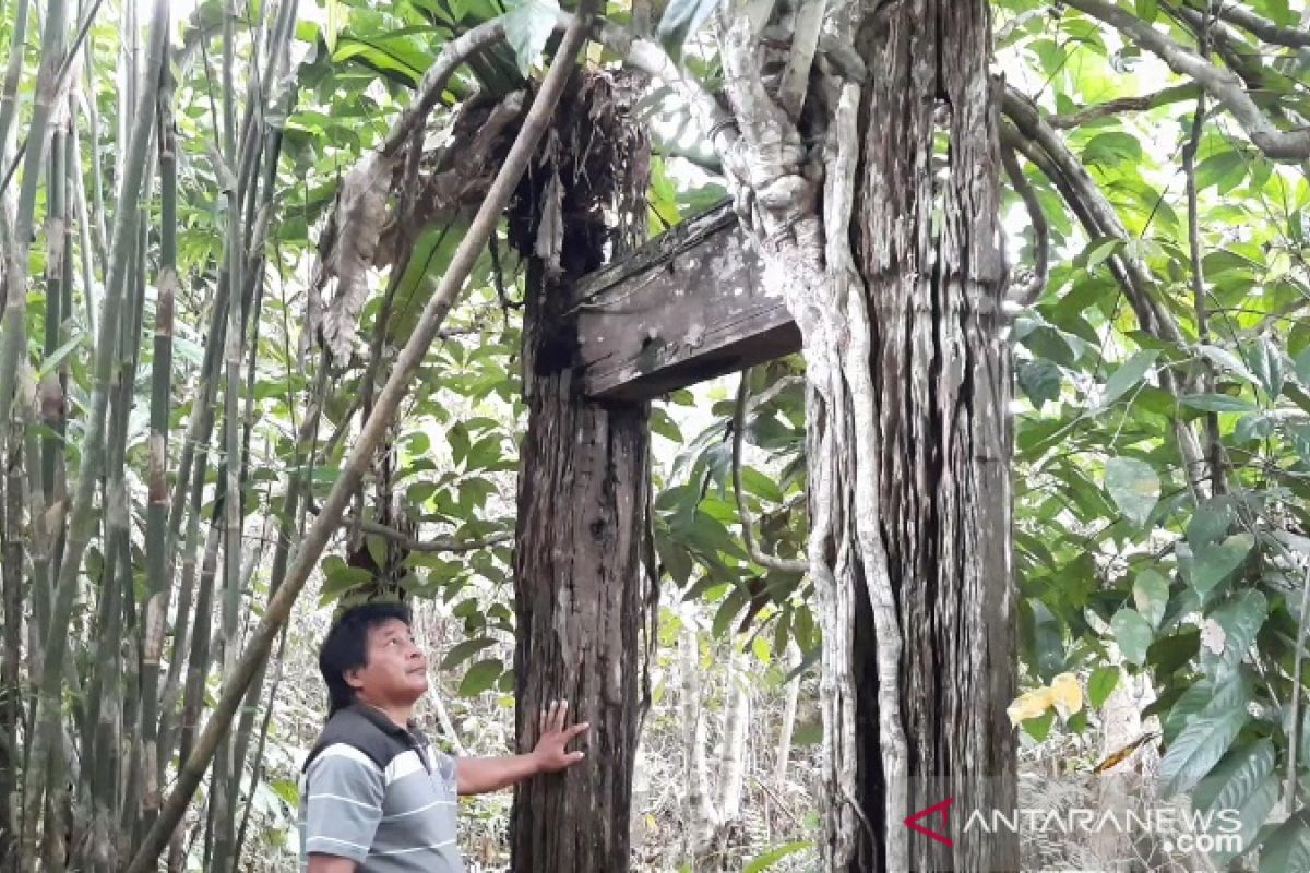 Disbudpar Gumas daftarkan Kaleka Betang Ngabe Hanjung sebagai objek cagar budaya