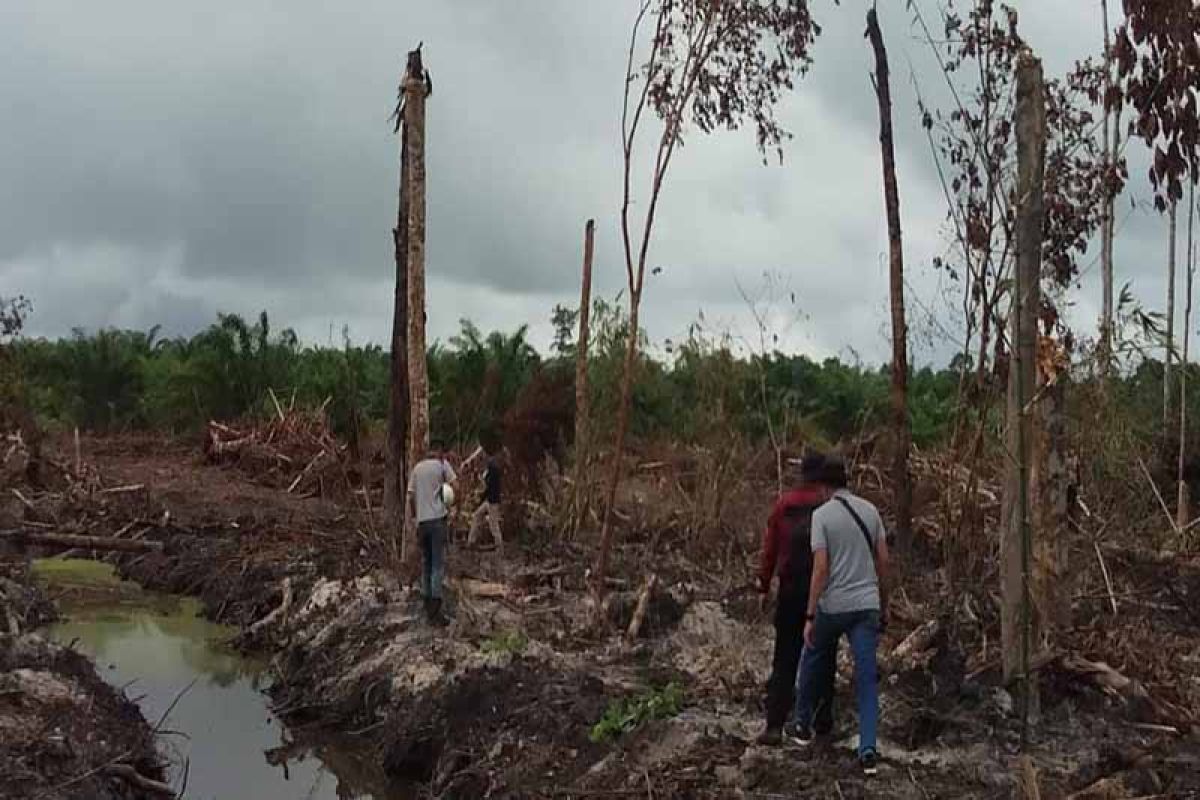 Polda Kalteng selidiki dugaan pidana lingkungan hidup di Bartim