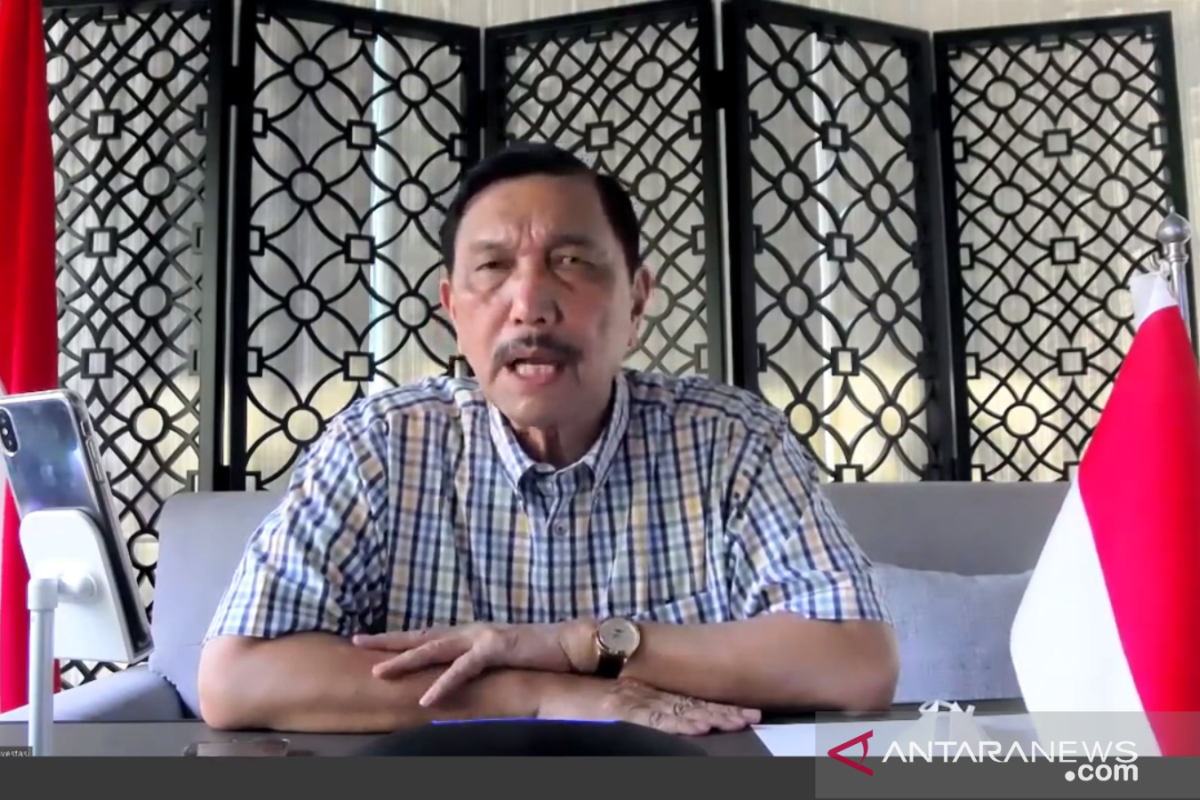 Luhut: Masa kritis COVID-19 hingga 2 minggu ke depan