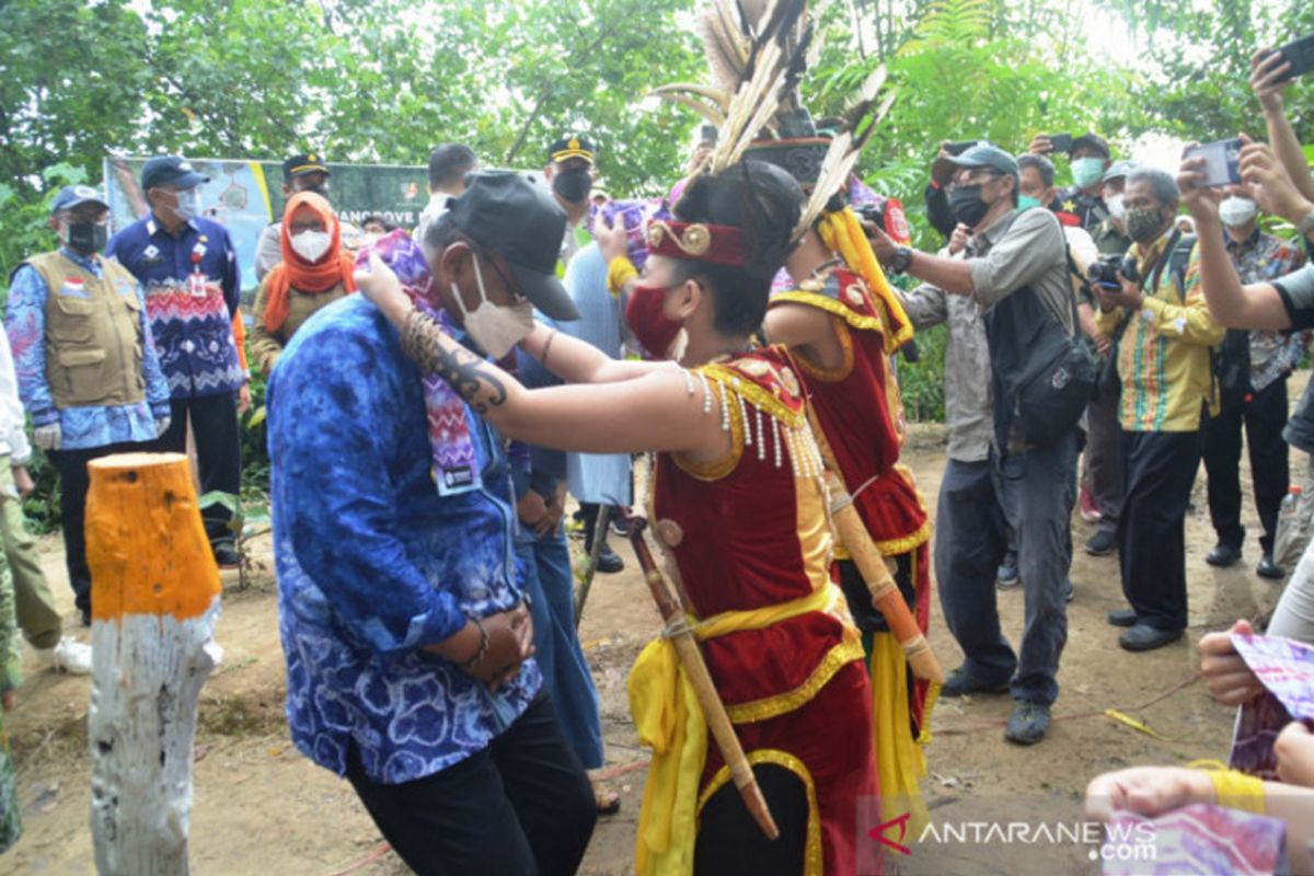 Kalsel kembangkan perkebunan kopi liberika