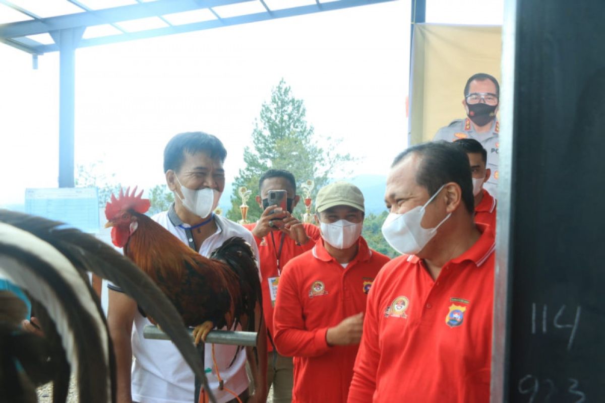 Polda Sumbar gelar lomba "Ayam Kukuak Balenggek"