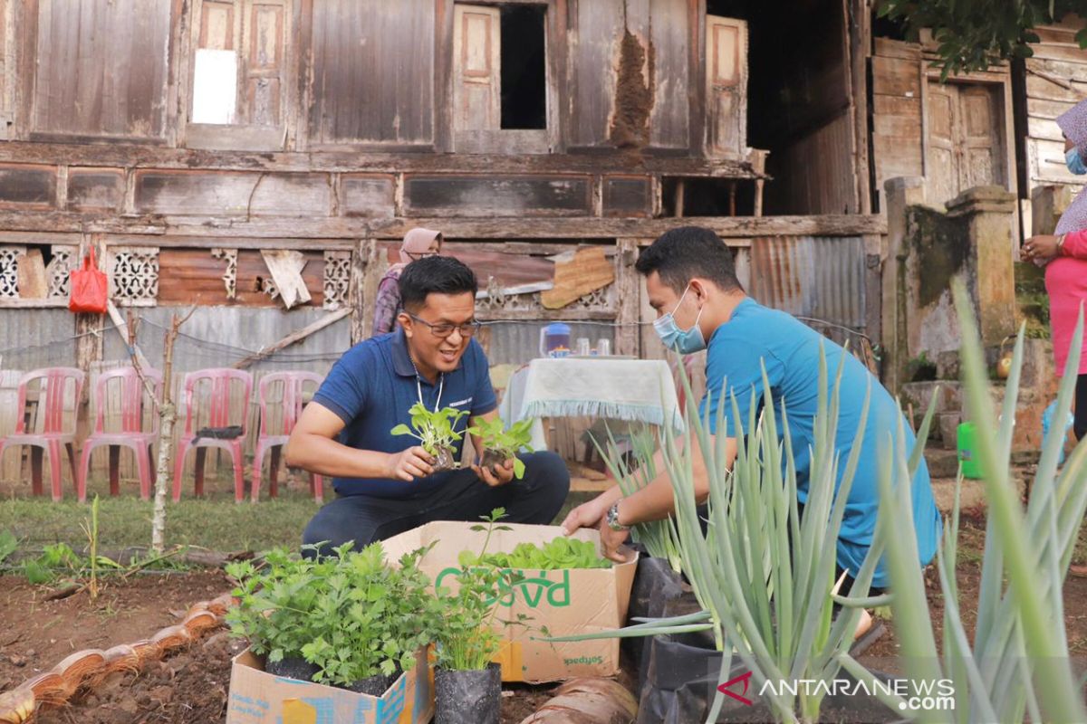 Ini tujuannya Wawako Payakumbuh mendorong masyarakat manfaatkan lahan kosong