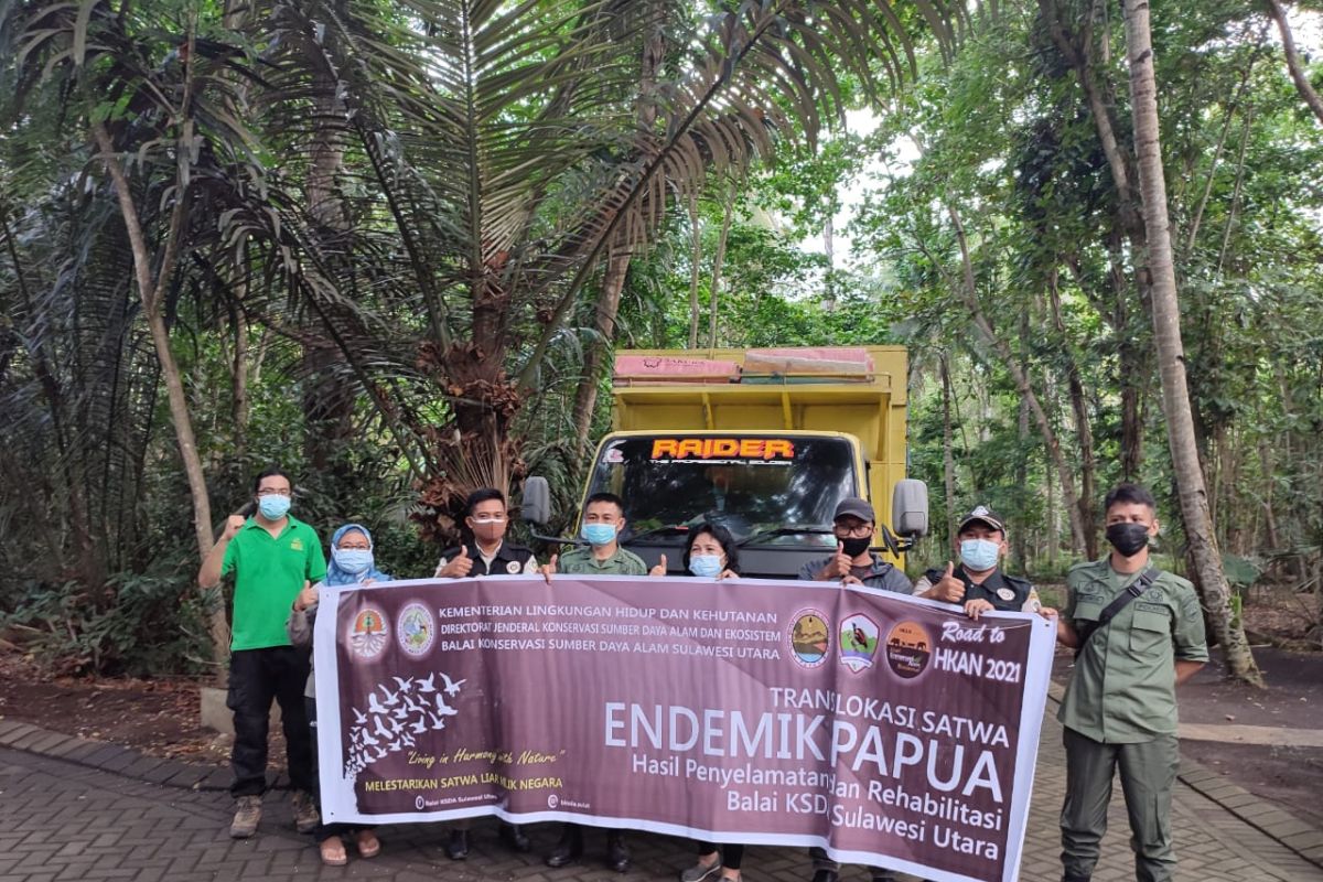 Karantina Pertanian Manado dan BKSDA translokasi 107 satwa endemik Papua