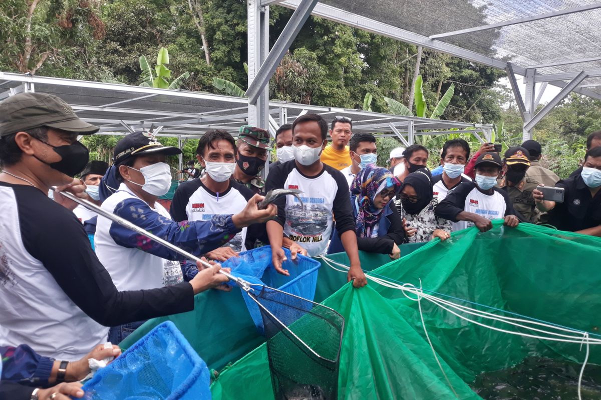 Pemkab Donggala kenalkan manfaat konsumsi ikan  di daerah terpencil