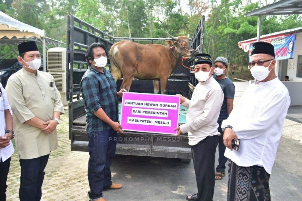 Bupati Mesuji serahkan sapi kurban