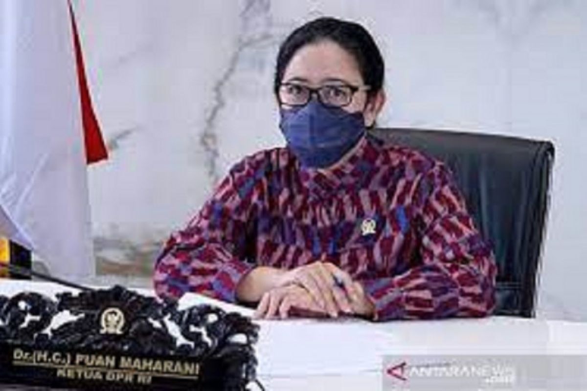 Puan Maharani sebut kebijakan PPKM harus direspons serius semua pihak