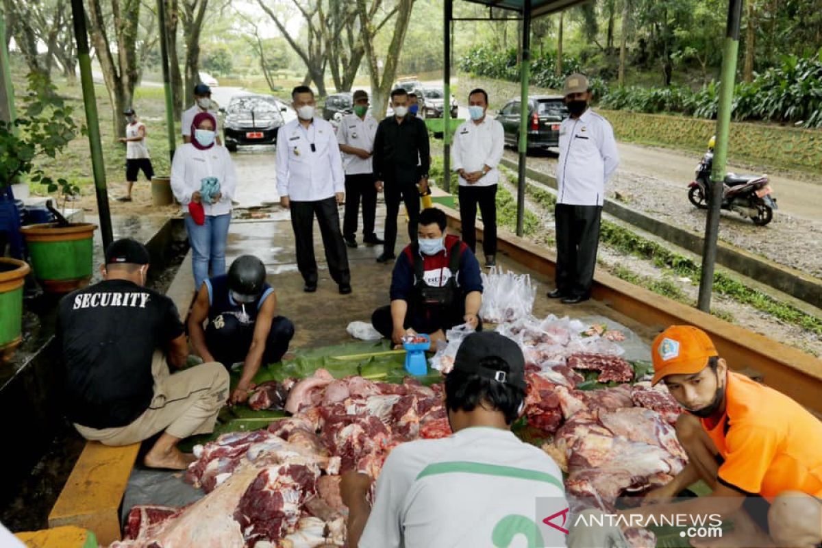 Wali Kota Kendari Berkurban 3 Ekor Sapi Untuk Petugas Kebersihan