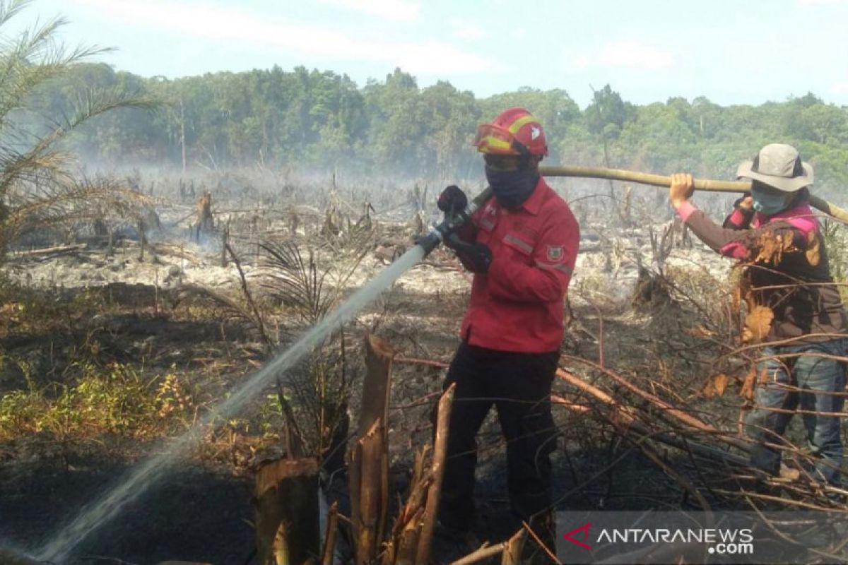 Regu pemadam PT Arara Abadi-APP Sinar Mas bantu atasi karhutla di Pelalawan