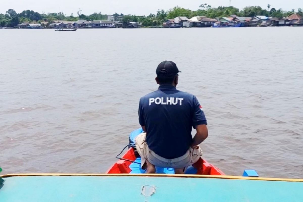 Buaya semakin sering muncul di Sungai Mentaya