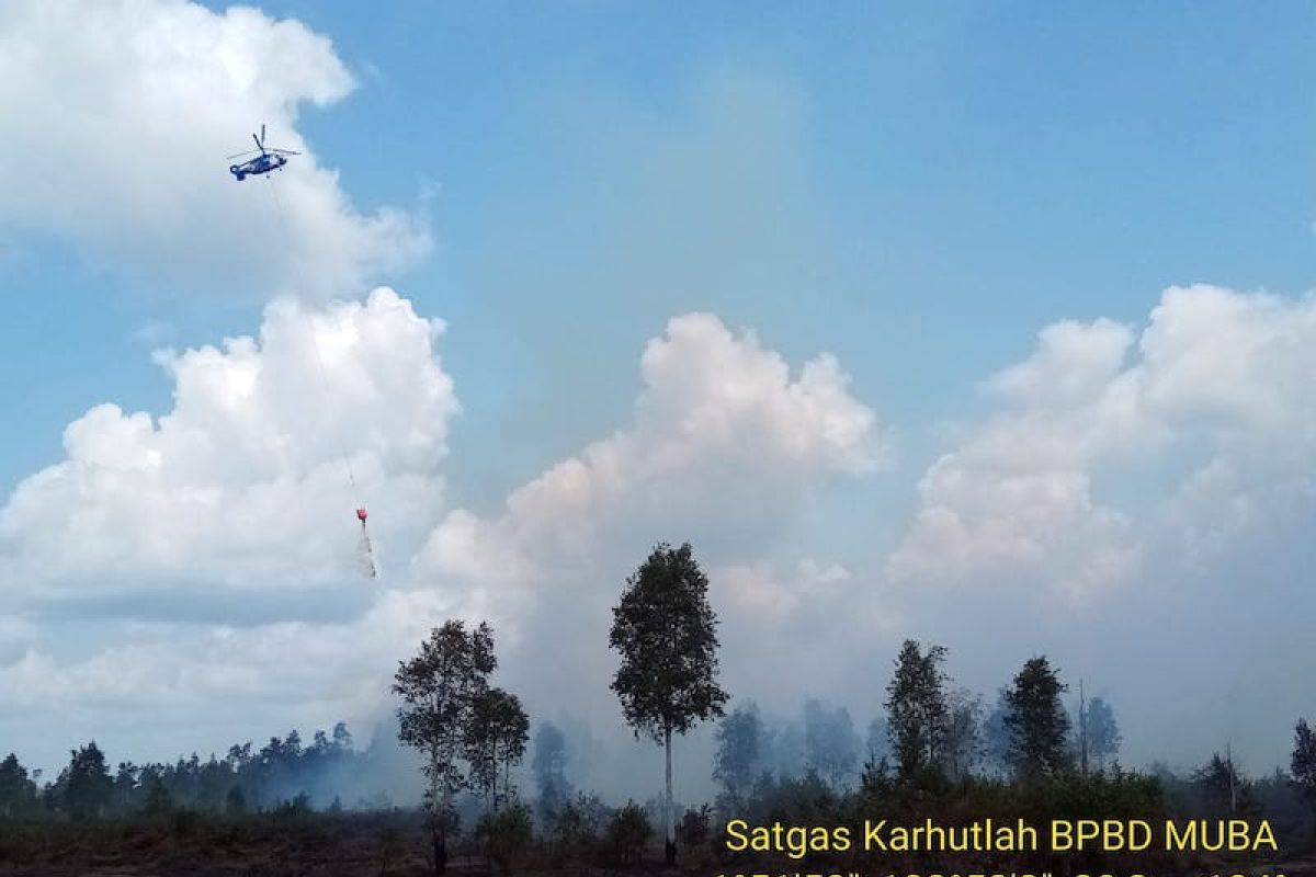 Kebakaran hutan dan lahan landa Muara Medak Musi Banyuasin