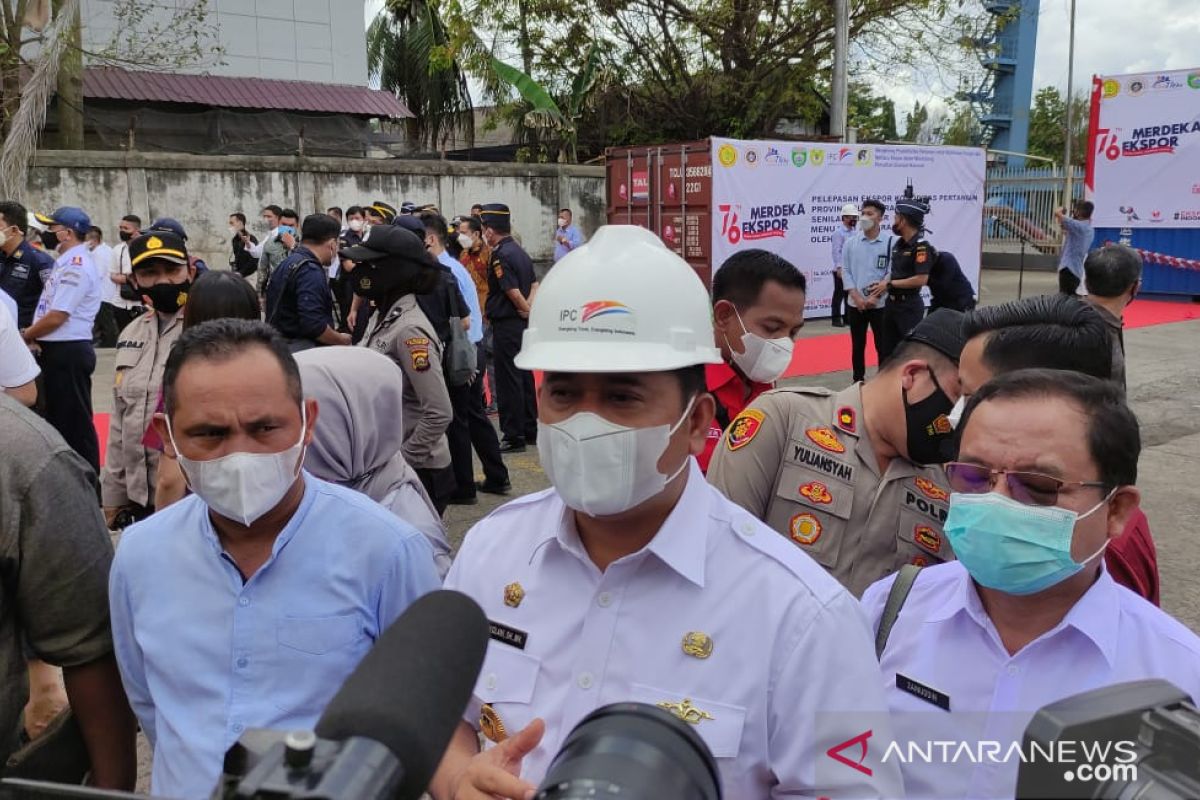 Menteri Pertanian siapkan  Sumsel jadi penghasil tanaman Porang