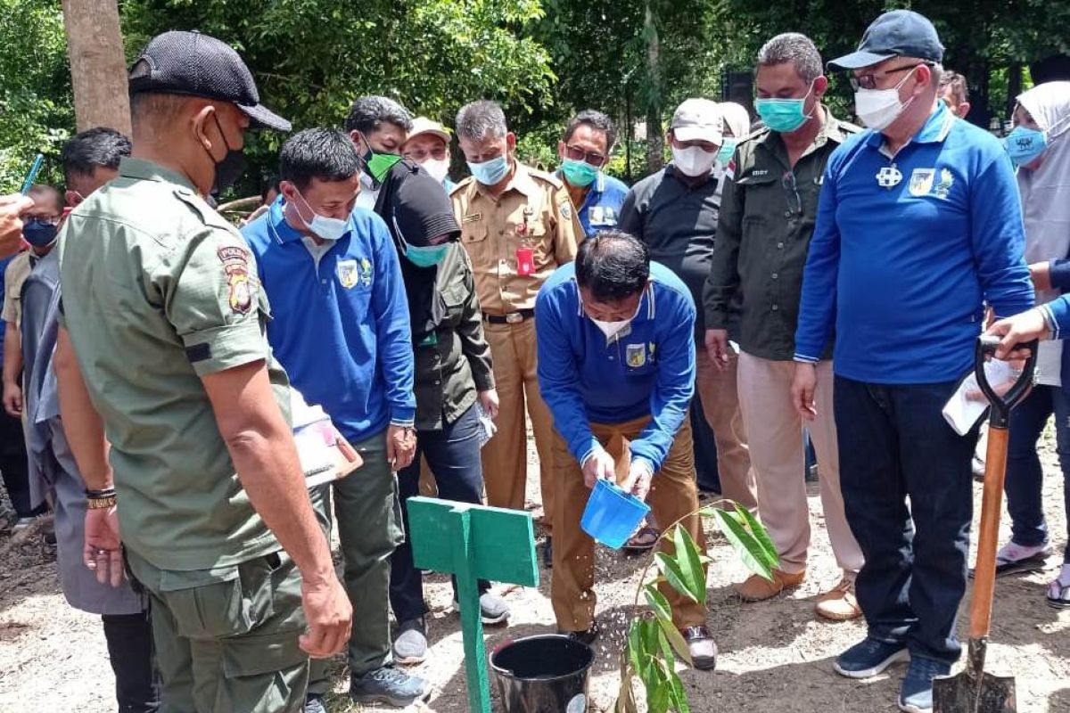 Sulteng optimalkan pengelolaan hutan  untuk kesejahteraan rakyat