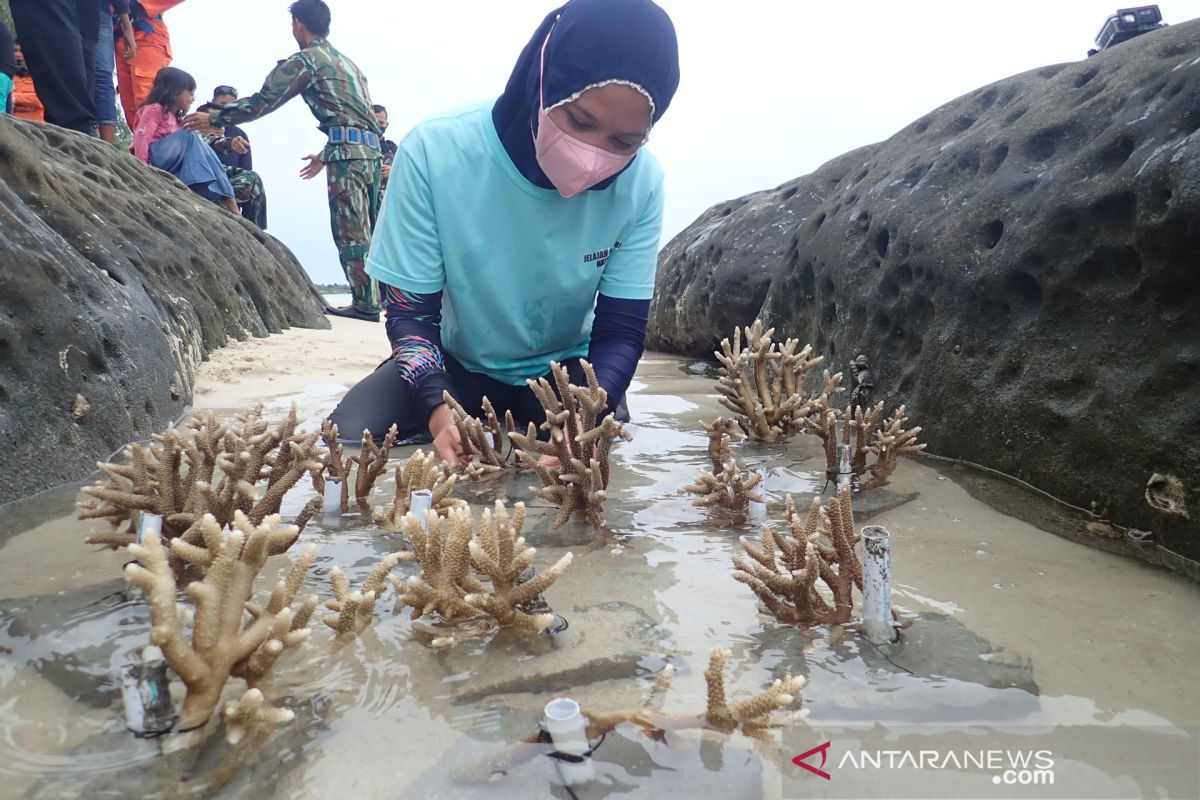 Bupati Natuna ingin penanaman  terumbu karang  yang diinisiasi ANTARA terus berlanjut